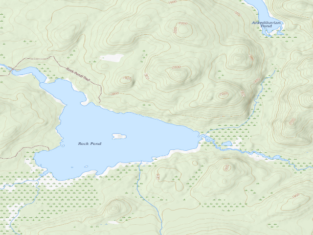 USGS topographic map of William C. Whitney Campsite #29 (William C. Whitney Wilderness)