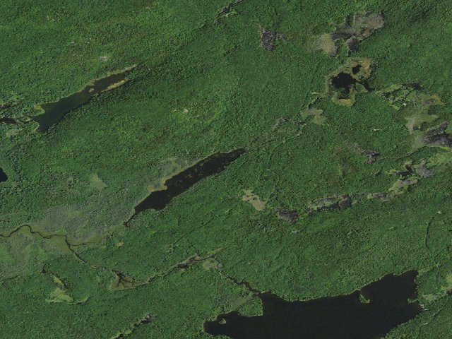 Aerial image of William C. Whitney Campsite #31 (William C. Whitney Wilderness)