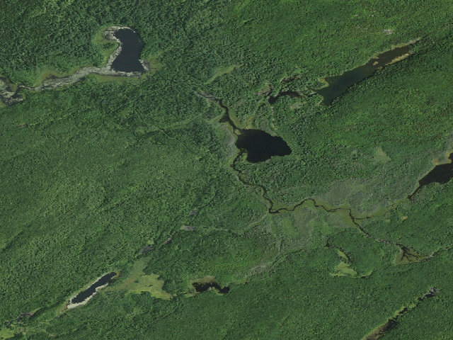 Aerial image of William C. Whitney Campsite #32 (William C. Whitney Wilderness)
