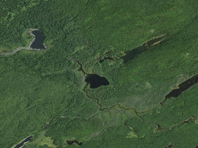 Aerial image of William C. Whitney Campsite #33 (William C. Whitney Wilderness)
