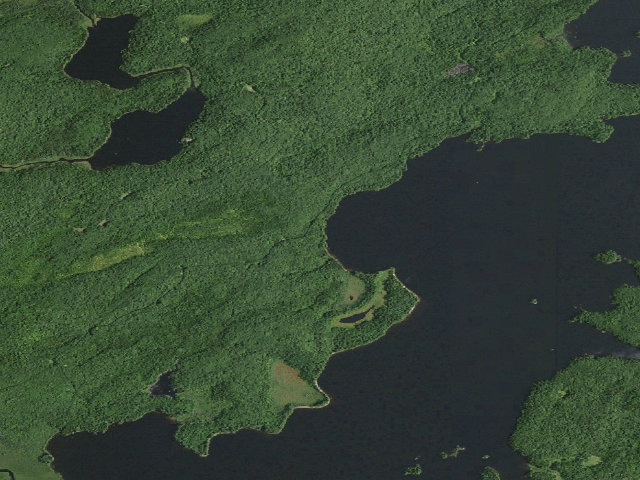 Aerial image of William C. Whitney Campsite #9 (William C. Whitney Wilderness)