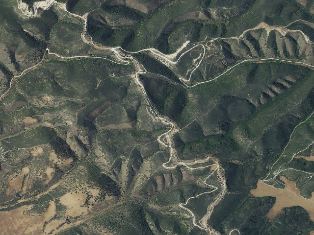 Aerial image of Williams Hill Campground