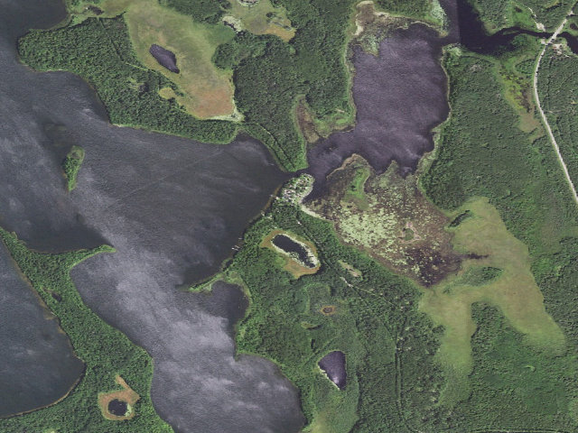 Aerial image of Williams Narrows