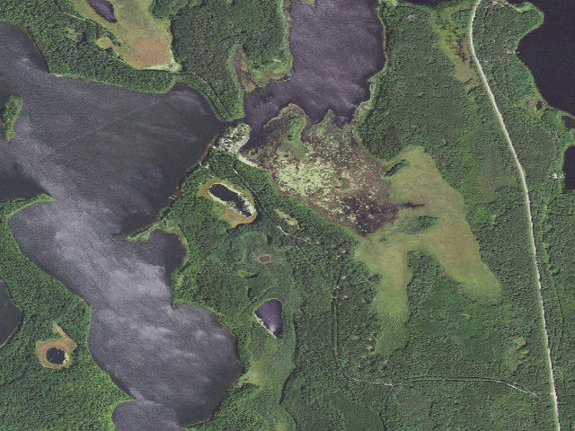 Aerial image of Williams Narrows Overflow