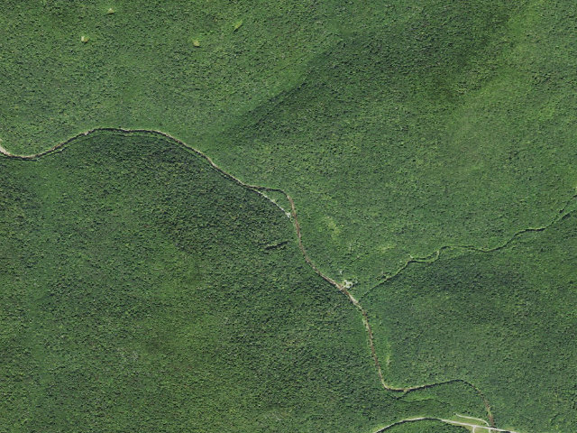 Aerial image of Williams River Rua Sites D2