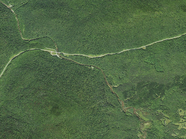 Aerial image of Williams River Rua Sites D4