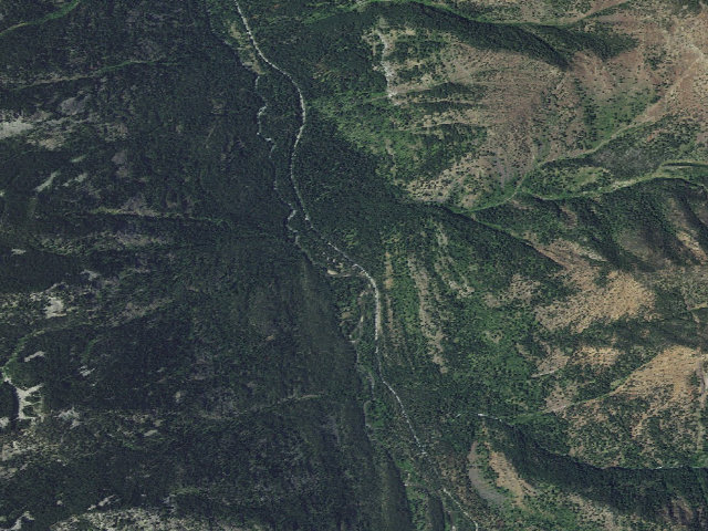 Aerial image of Williamson Campground