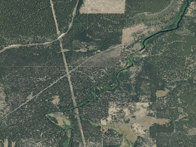 Aerial image of Williamson River Campground