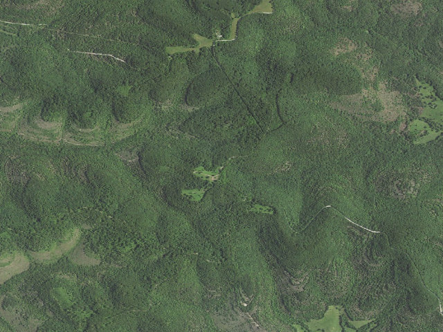 Aerial image of Willie Lee