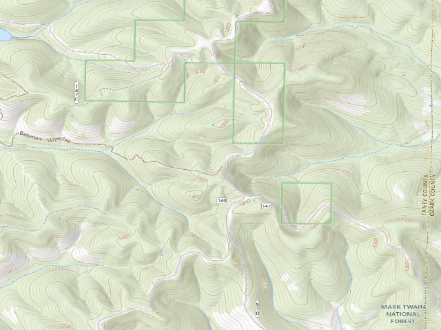 USGS topographic map of Willie Lee