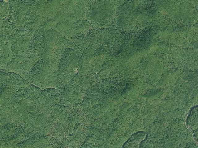 Aerial image of Willis Knob Horse Camp