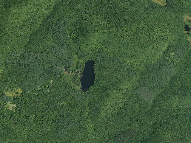 Aerial image of Willis Lake Campsite (Wilcox Lake Wild Forest)
