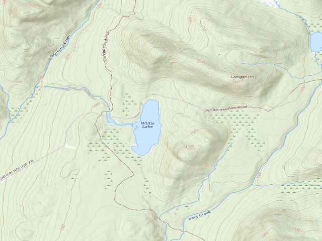 USGS topographic map of Willis Lake Campsite (Wilcox Lake Wild Forest)