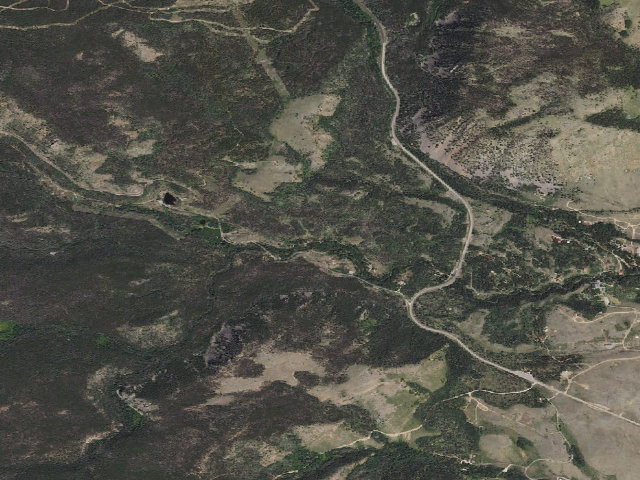 Aerial image of Willow