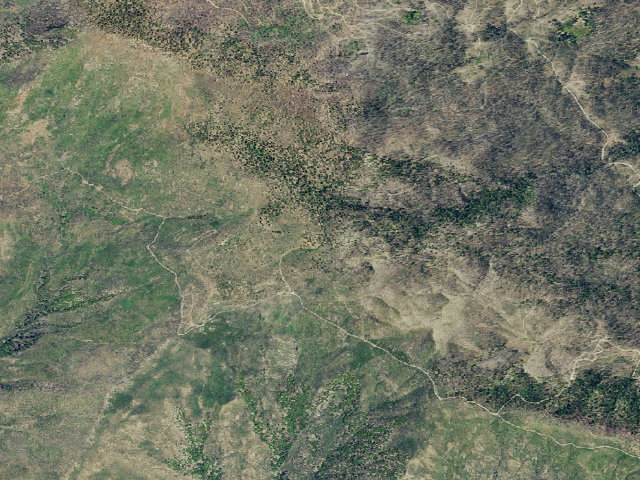 Aerial image of Wilson Camp