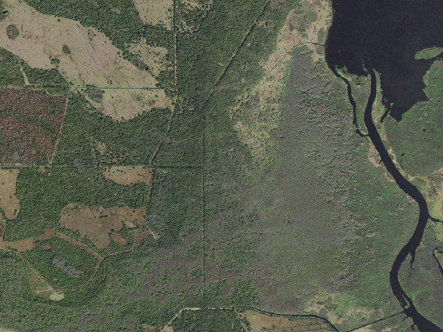 Aerial image of Winder Mound (River Lakes Conservation Area)
