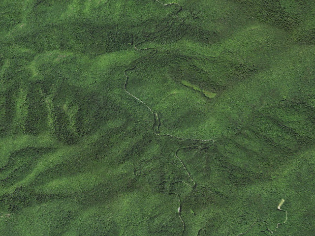 Aerial image of Wine Spring Horse Camp