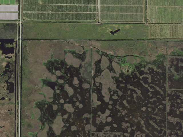 Aerial image of Winter N Camp (Blue Cypress Conservation Area)