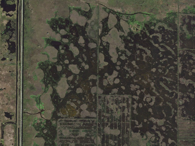 Aerial image of Winter S Camp (Blue Cypress Conservation Area)