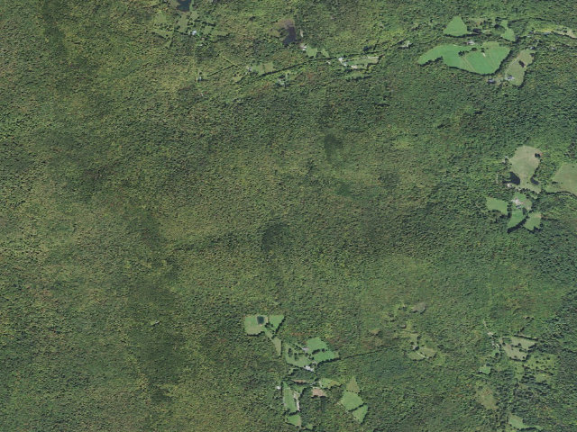 Aerial image of Wintturi Shelter