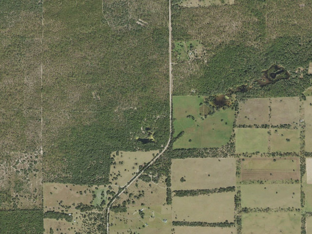 Aerial image of Withlacoochee State Forest Mutual Mine Recreation Area