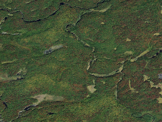 Aerial image of Wolf Creek East Primitive Campsite (Watsons East Triangle Wild Forest)