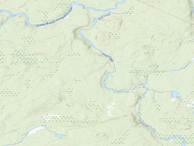 USGS topographic map of Wolf Creek East Primitive Campsite (Watsons East Triangle Wild Forest)