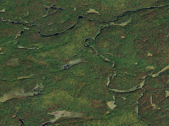 Aerial image of Wolf Creek West Primitive Campsite (Watsons East Triangle Wild Forest)