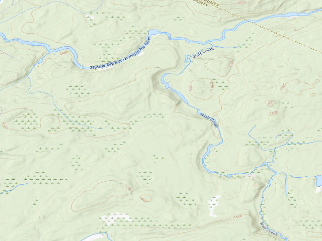 USGS topographic map of Wolf Creek West Primitive Campsite (Watsons East Triangle Wild Forest)