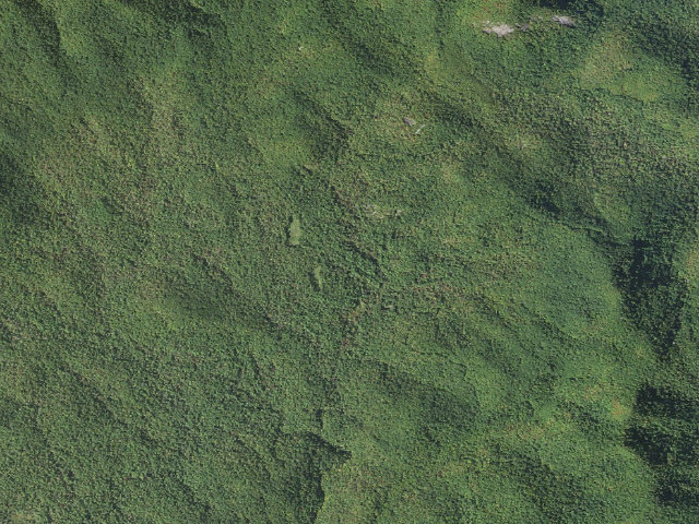 Aerial image of Wolf Ford Horse Camp