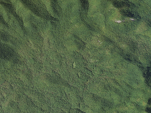 Aerial image of Wolf Ford Horse Camp