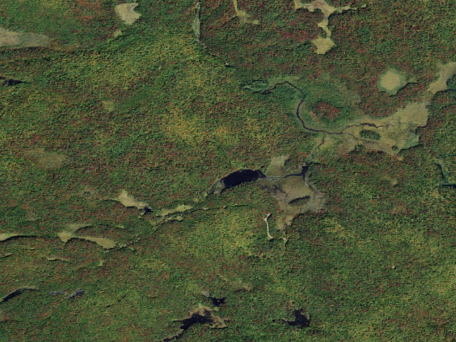 Aerial image of Wolf Pond Campsite (Watsons East Triangle Wild Forest)