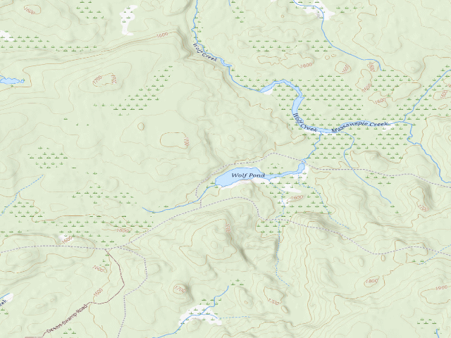 USGS topographic map of Wolf Pond Campsite (Watsons East Triangle Wild Forest)