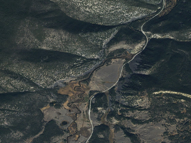 Aerial image of Wolf Tree