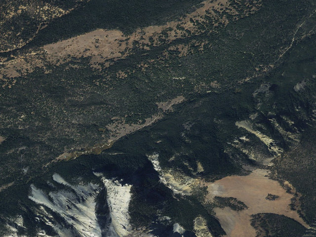Aerial image of Wood