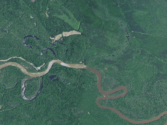 Aerial image of Woodbury WMA Dunham Bluff Landing Campsite