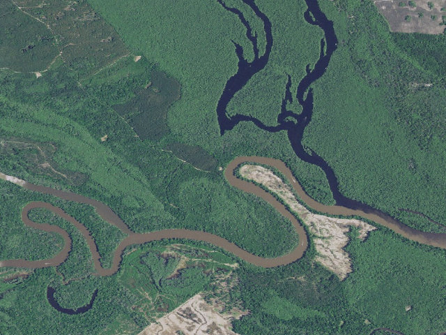 Aerial image of Woodbury WMA primitive campsite
