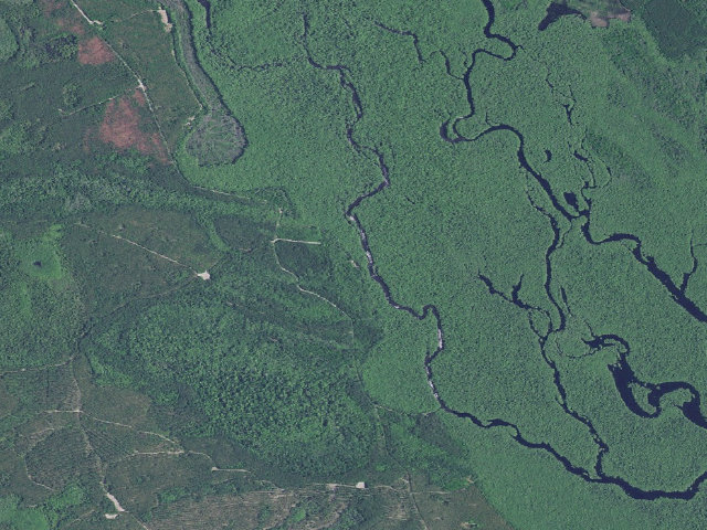 Aerial image of Woodbury WMA primitive campsite