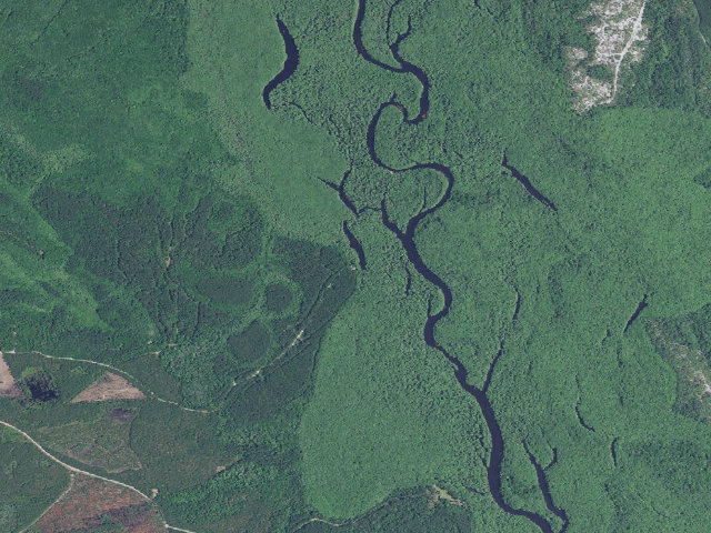 Aerial image of Woodbury WMA primitive campsite