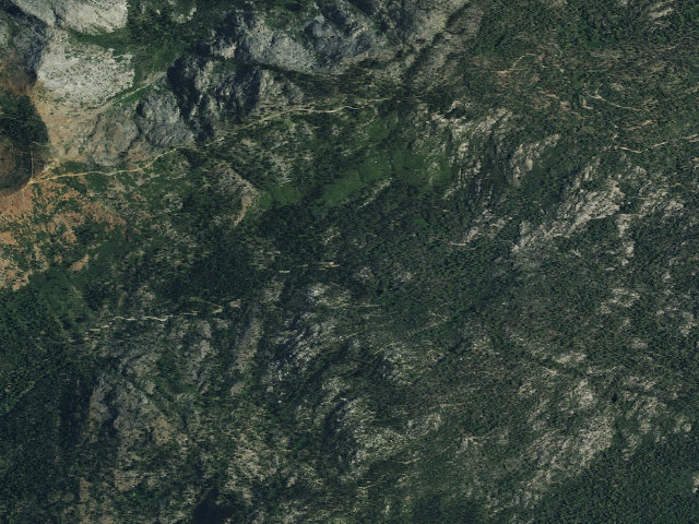 Aerial image of Woodchuck