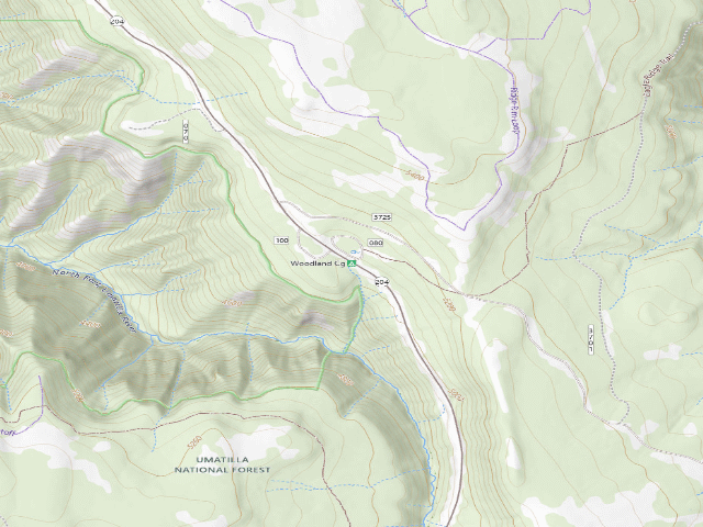 USGS topographic map of Woodland Campground