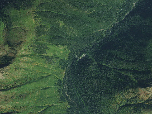 Aerial image of Wounded Buck Creek Dispersed Camp