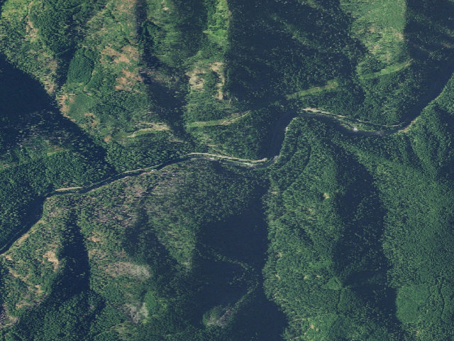 Aerial image of Wright Creek