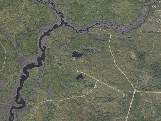 Aerial image of Wright Lake Campground