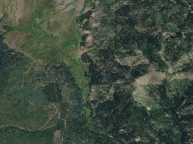 Aerial image of Yellow Creek