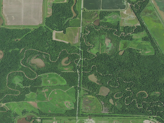 Aerial image of Yellow Creek Conservation Area