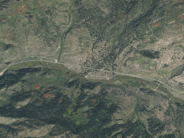 Aerial image of Yellow Pine Camp
