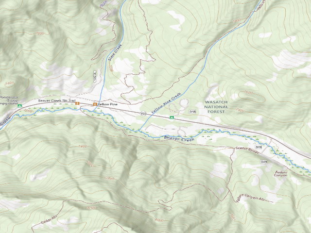 USGS topographic map of Yellow Pine Camp
