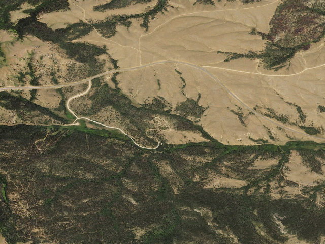 Aerial image of Yellow Pine