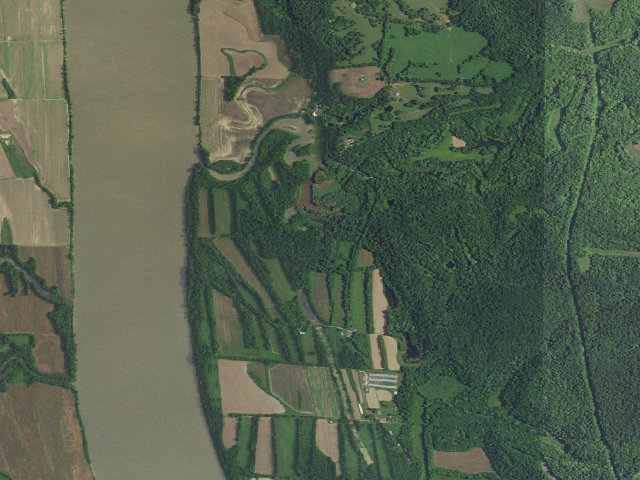 Aerial image of Yellowbank WMA